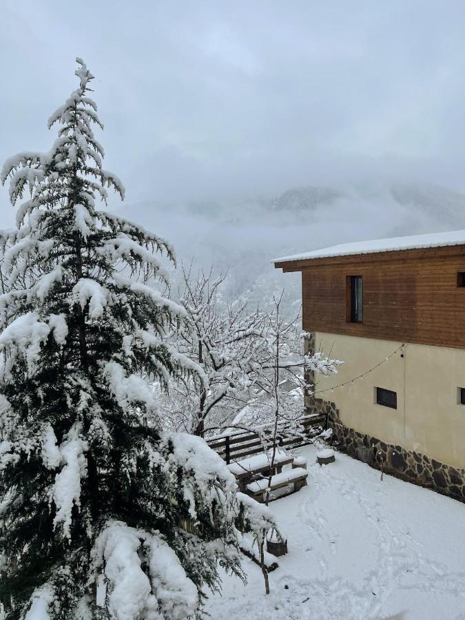 Guest House on Meskheti Bordzjomi Buitenkant foto