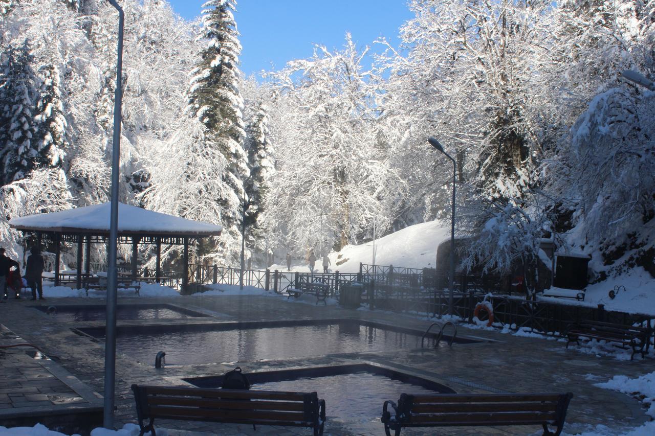 Guest House on Meskheti Bordzjomi Buitenkant foto